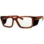 Radiation Safety Glasses T9538S