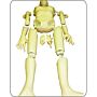TAKE-APART PIXY Teaching Whole Body Phantom