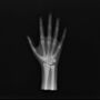 Hand and Wrist AP/PA Phantom