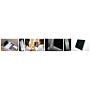 Tiger DR Podiatry Digital Detector & TigerView Software